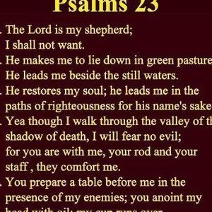 Meet your Posher, Mark